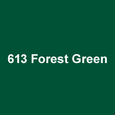 ORACAL 651G-613 Forest Green